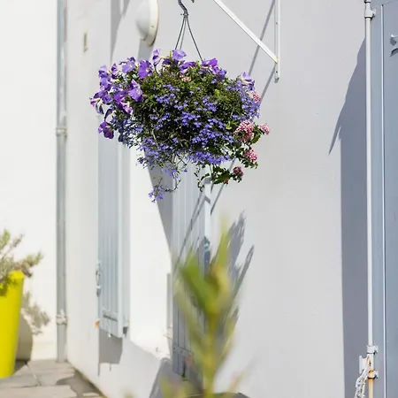 Perle De Ré Apartahotel