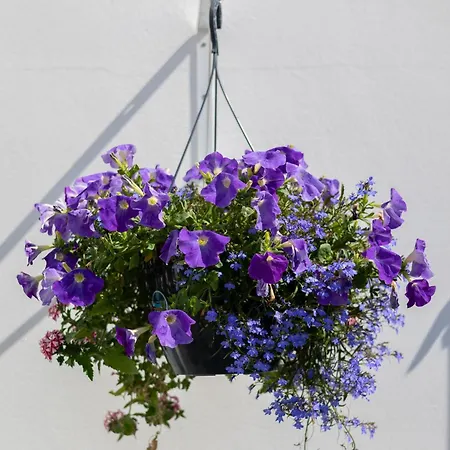 Perle De Re 3* La Couarde-sur-Mer