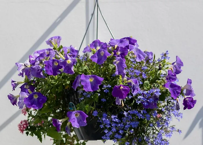 Perle De Re 3* La Couarde-sur-Mer