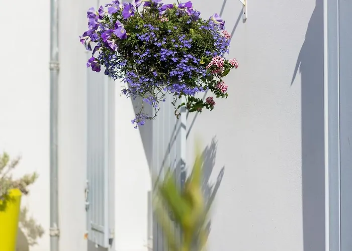 Perle De Re Hotel apartamentowy